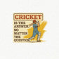 Cricket = Life – “No Matter the Question