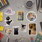 CAT STICKERS PACK OF 20