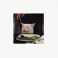 Salad Hater Cat 🥗❌