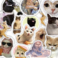 CAT STICKERS PACK OF 12