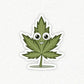 Don't Panic, be Organic