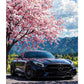 VC41 – AMG Sakura Drive